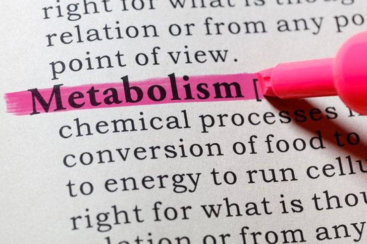 Why Is Boosting Metabolism Necessary