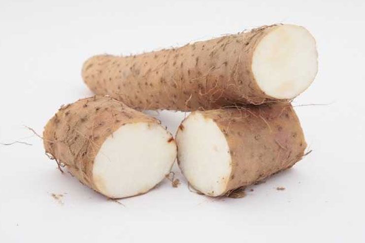 Active ingredient of the birth control pills come from yam