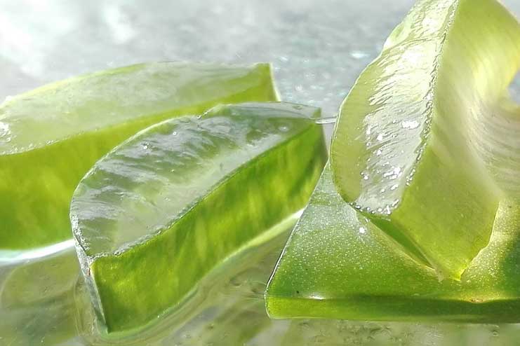 Aloe vera juice and peppermint