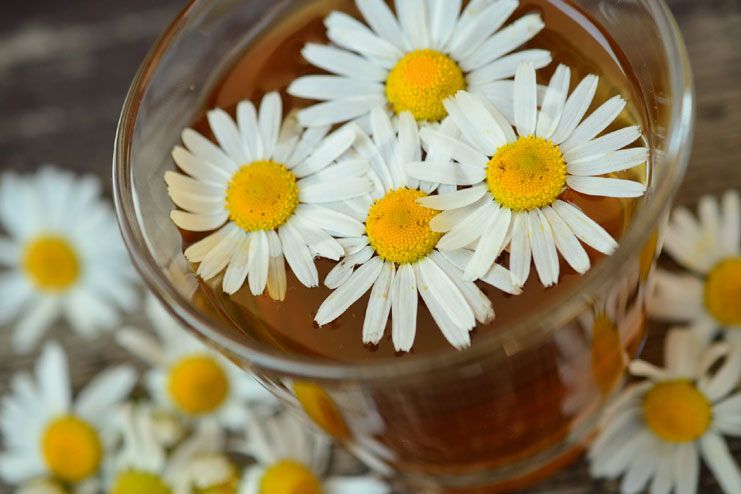 Chamomile tea