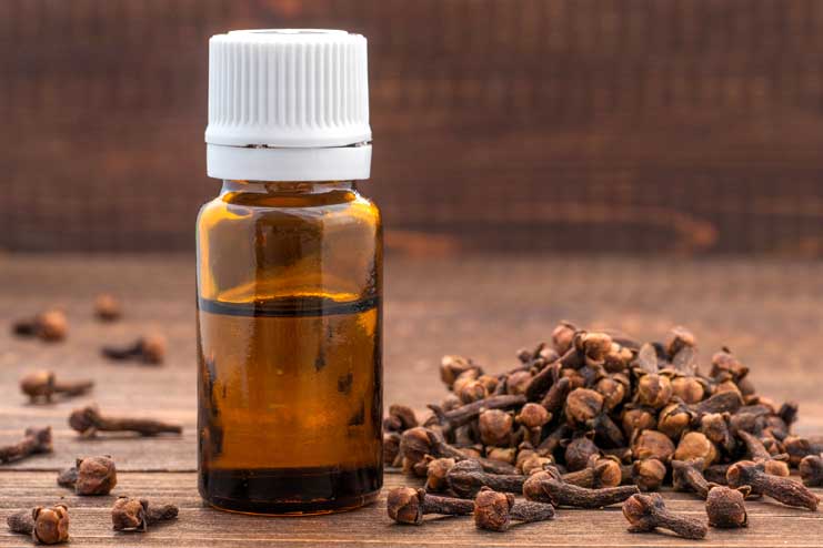 Clove Oil