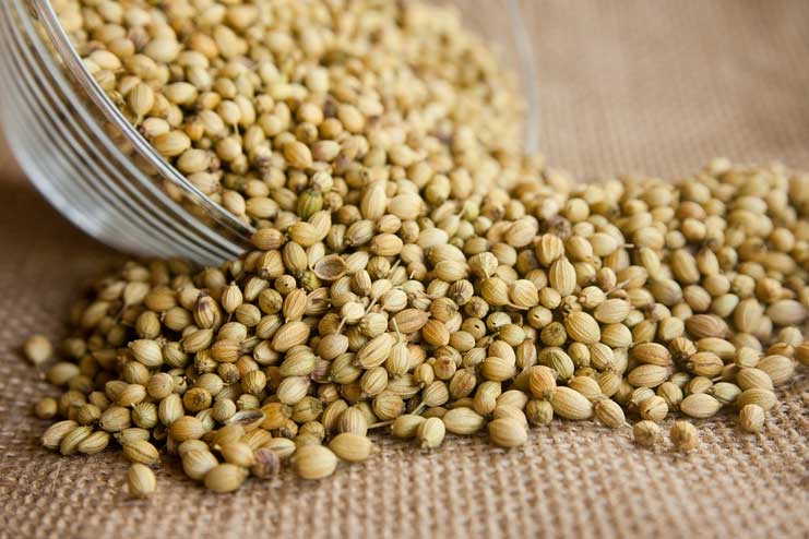 Coriander Seeds