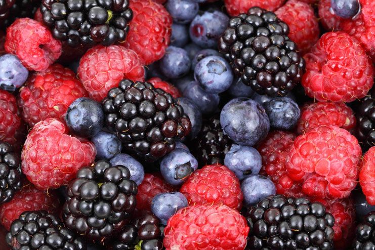 Lack of antioxidants