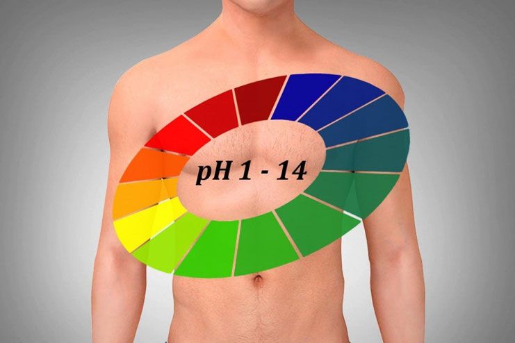 Maintains the pH