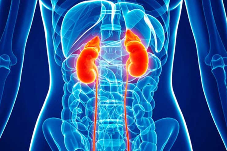 Overburdening on the kidney