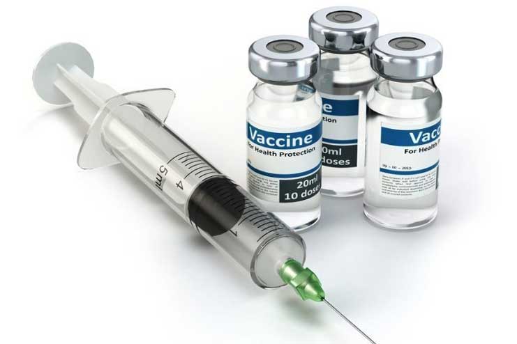 Vaccines contain harmful ingredients