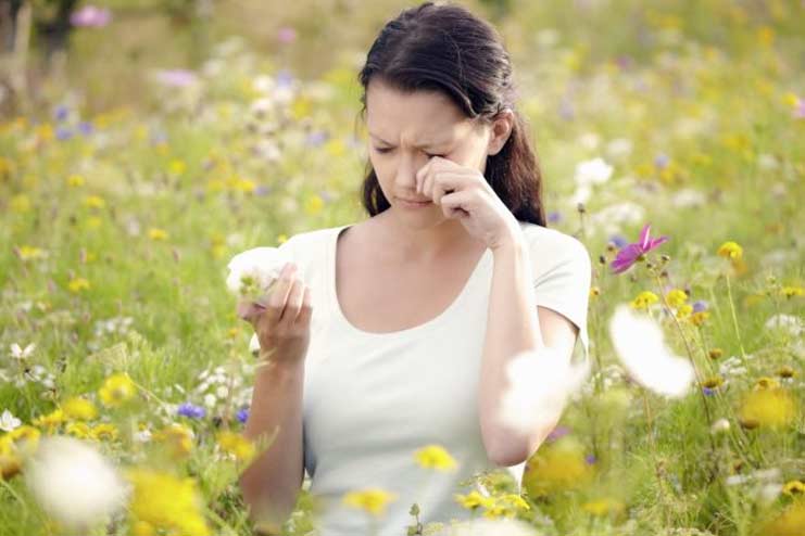 What Causes Hay Fever