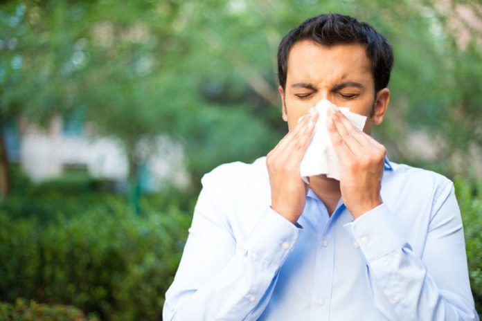 natural remedies for year round allergies