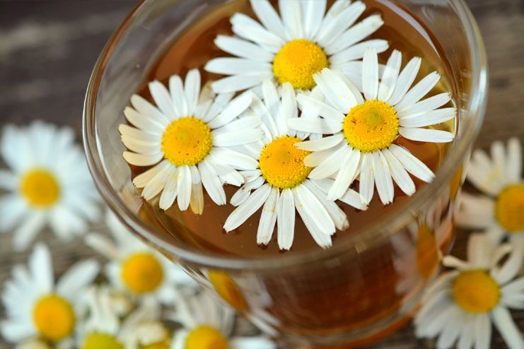 Chamomile tea