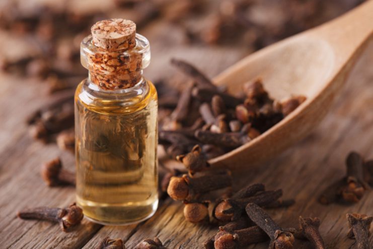 Clove Oil for Toothache