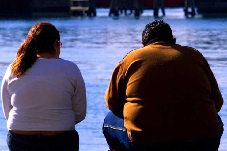 Gut Brain Connection Might Explain Why Obesity Occurs