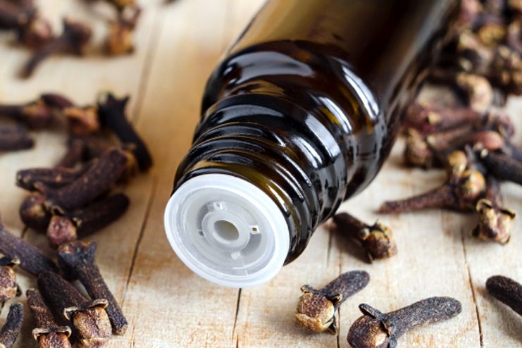 Where to buy Clove Oil for Toothache