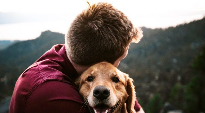 Owning A Pet Ensures A Healthy Heart, New Study Suggests healthy-heart