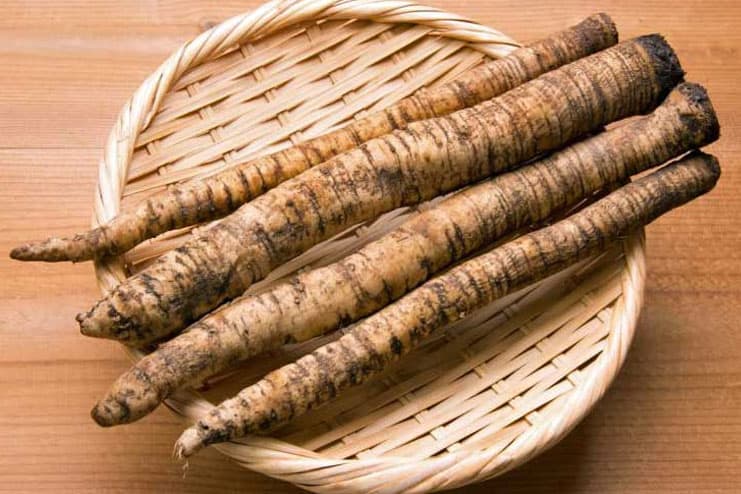 Pilonidal Cyst - Burdock root