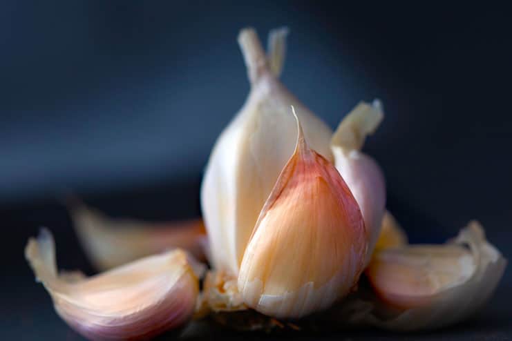 Pilonidal Cyst - Garlic