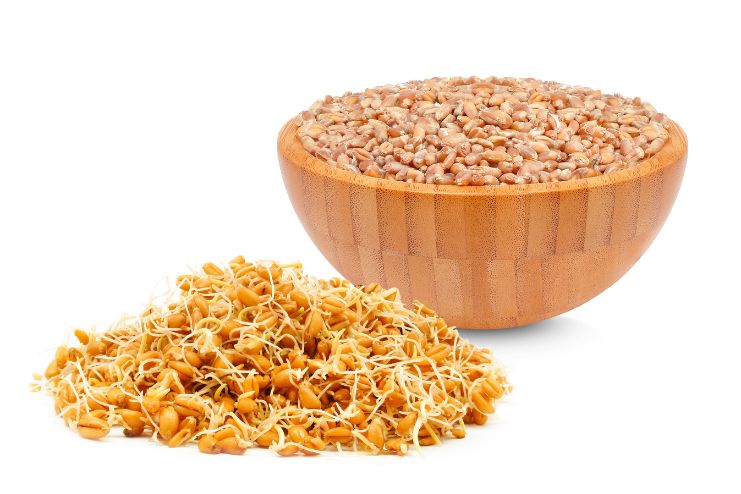 Wheat Germ