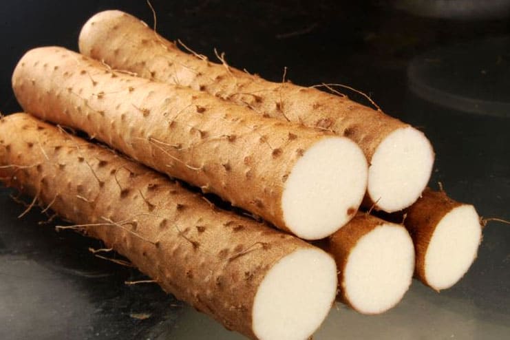 Wild Yam