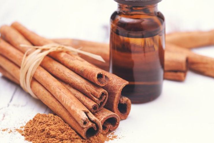 Cinnamon Oil for UTI