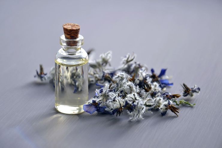 Lavender Oil for UTI