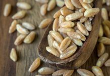 15 Health Benefits Of Farro health-benefits-of-farro
