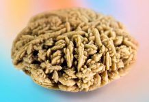 Scientists Find New Way To Demolish The Issues Of Kidney Stones Scientists-Find-New