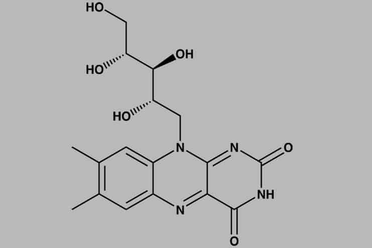 Amazing source of riboflavin
