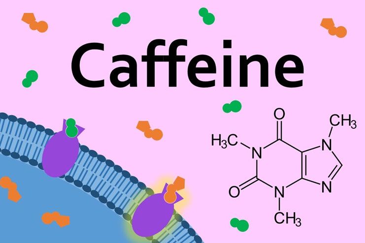 Adenosine blocker