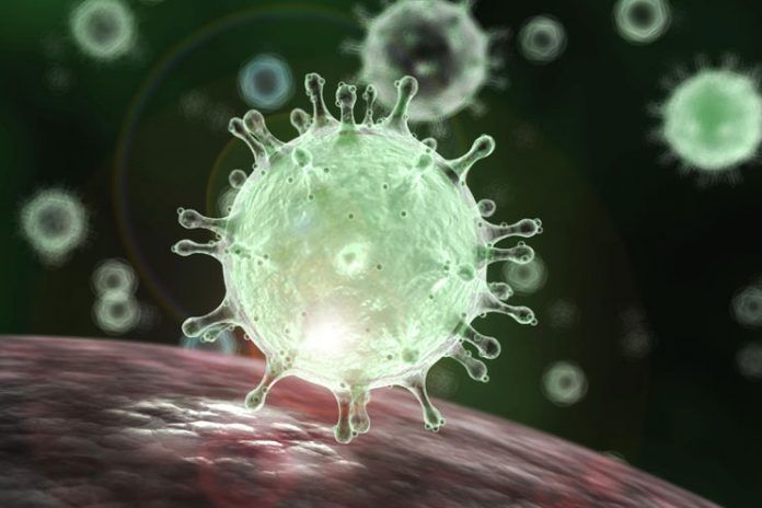 How to prevent coronavirus from spreading