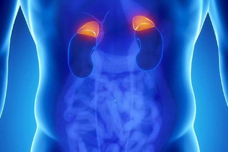 Adrenal insuffiencies