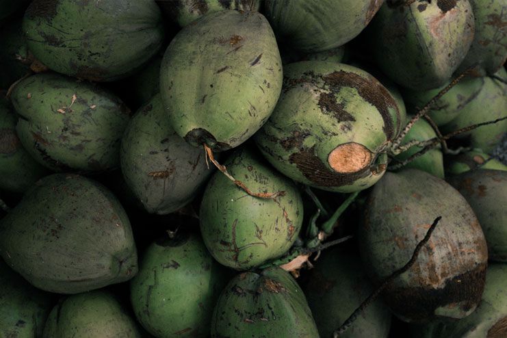 Drink some coconut water