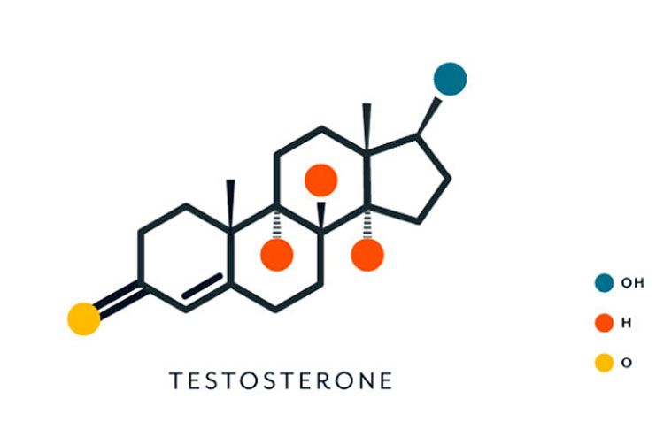 Excessive androgen levels