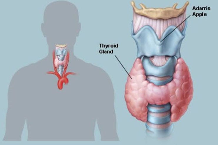 Thyroid issues