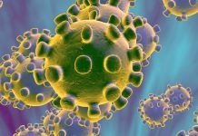 Coronavirus Imaging Features Unveiled By Radiologists, New Study Suggests coronavirus