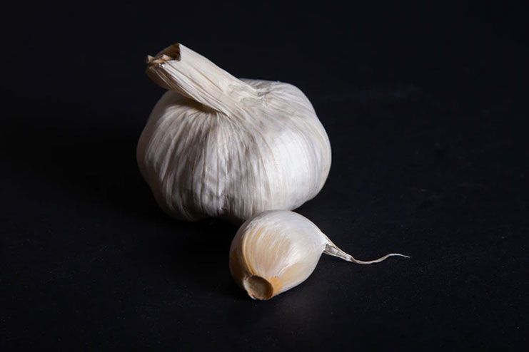 Garlic