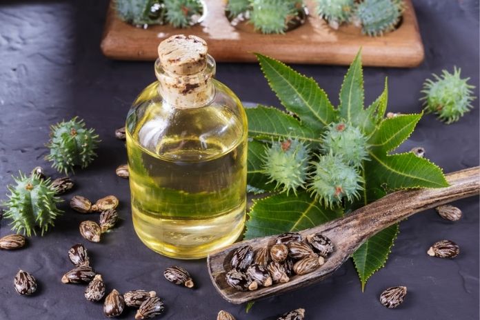 Quick Tips for Buying the Right Castor Oil