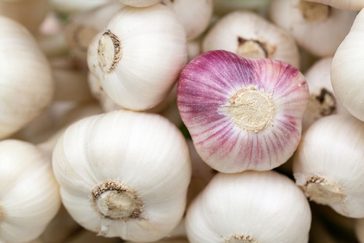 Garlic for Underarm Odour