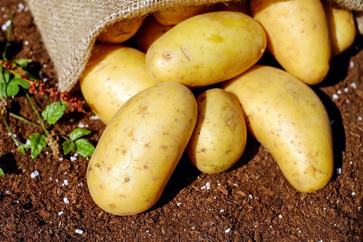 Potato for Underarm Odour