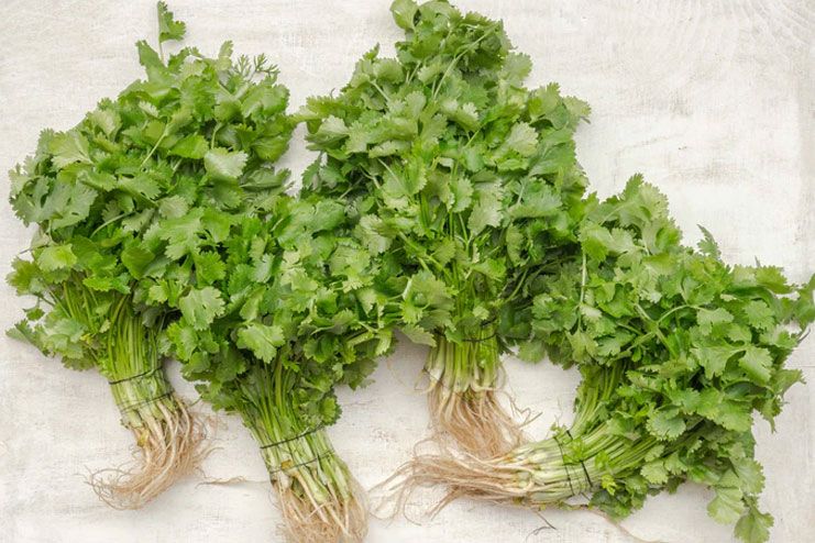 Health benefits of eating parsley