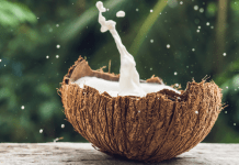 12 Coconut Milk Benefits For Overall Health, Skin And Hair Amazing Coconut Milk Benefits For Hair, Face And Skin
