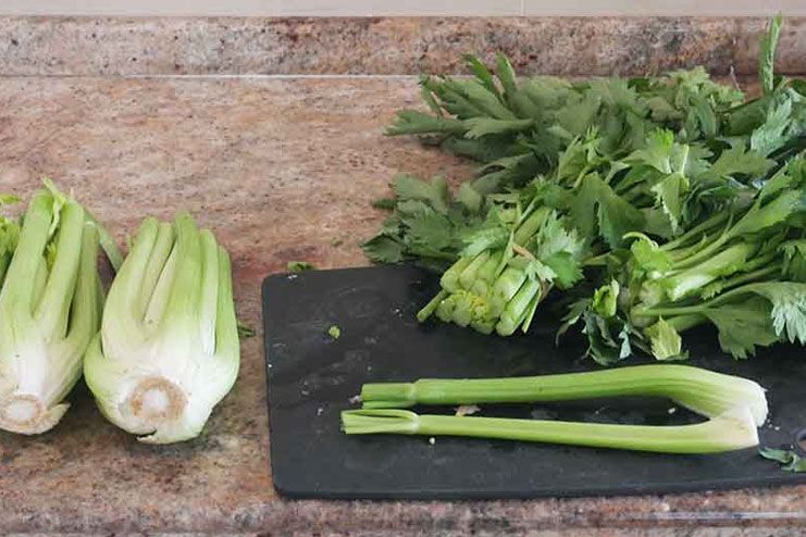 Celery Leaves