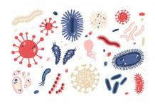 5 Types of infections That You Must Know in Detail 5 Types of infection That You Must Know in Detail