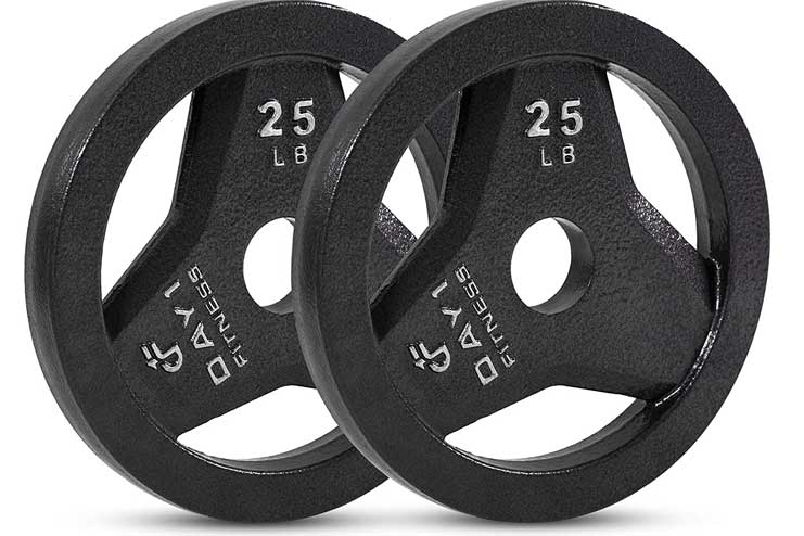 Day 1 Fitness Cast Iron Olympic 2-Inch Grip Plate
