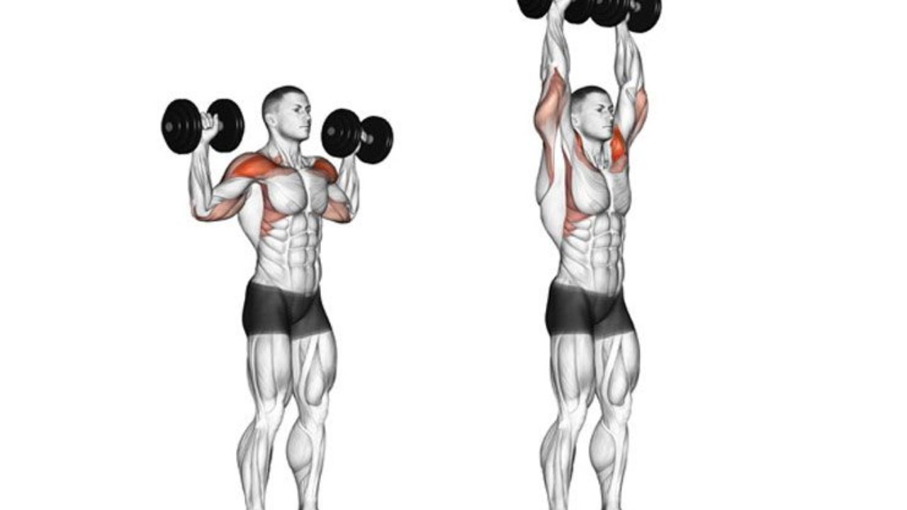 10 Best Overhead Press Alternatives To Improve Your Strength Training