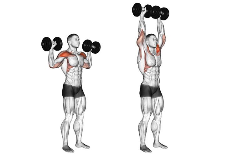 10 Best Overhead Press Alternatives You Can Practice
