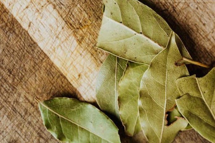 9 Health Benefits of Bay Leaves and How To Consume It