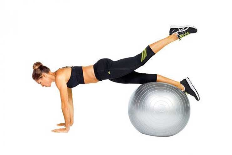 Push Up With Leg Lift On Stability Ball