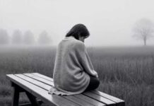 How Seasonal Changes Impact Your Mood and Energy Seasonal-Changes-Impact-Your-Mood