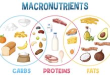 How to Balance Macronutrients for Sustainable Weight Loss Balance Macronutrients for Sustainable