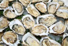 10 Major Health Benefits of Oysters Health Benefits of Oysters