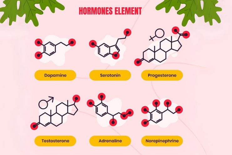 Counter-Regulatory Hormones